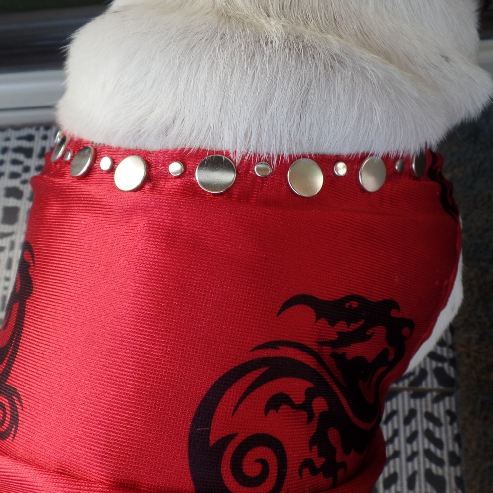 Dragon boy dog clothes nwot! - Picture 5 of 6